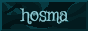 hosma halloween button (blue)