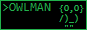 OwlMan